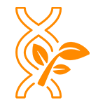 Eco Icon